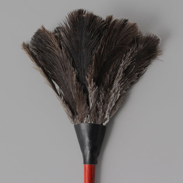 Feather Duster Small