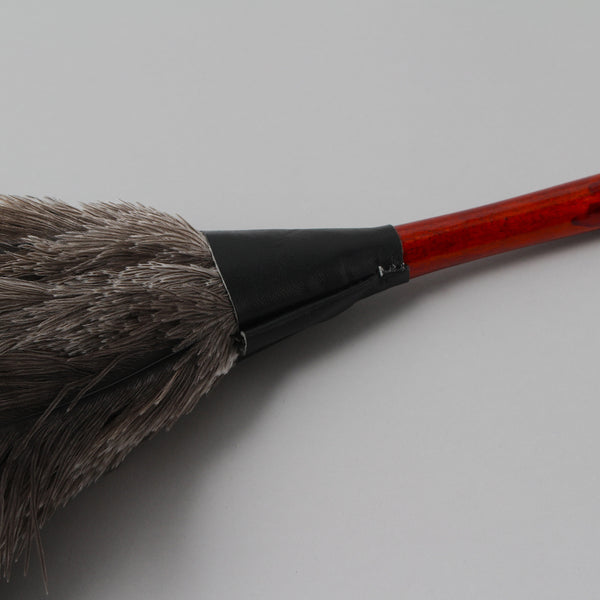 Feather Duster Small